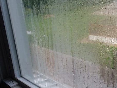 Between Panes Condensation