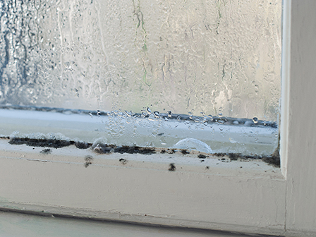 Condensation Inside